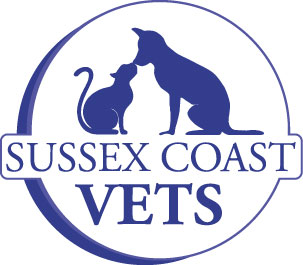 Sussexcoastmobile